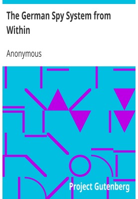The German Spy System from Within
