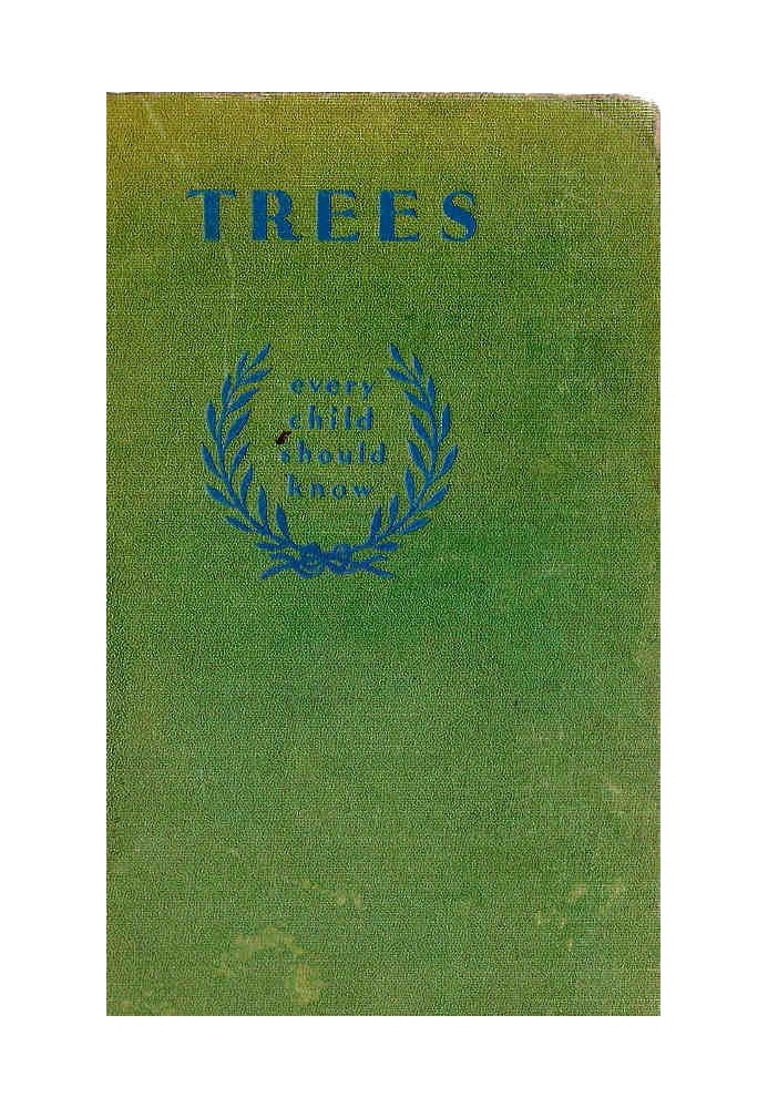 Деревья, которые должен знать каждый ребенок: простые исследования деревьев для всех времен года