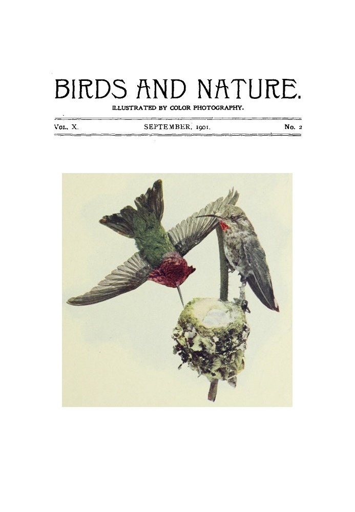 Birds and Nature, Vol 10 No. 2 [September 1901]