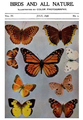 Birds and All Nature, Vol. 4, No. 1, July 1898 Illustrated by Color Photography