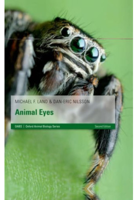 Animal Eyes