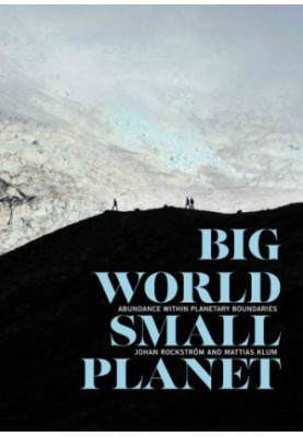 Big World, Small Planet: Abundance Within Planetary Boundaries