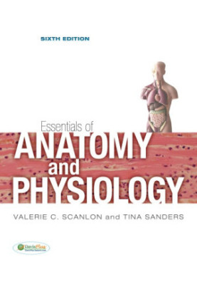 Essentials of anatomy and physiology