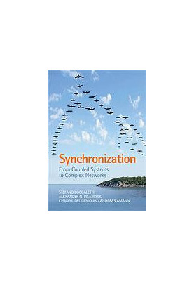 Synchronization. From coupled systems to complex networks