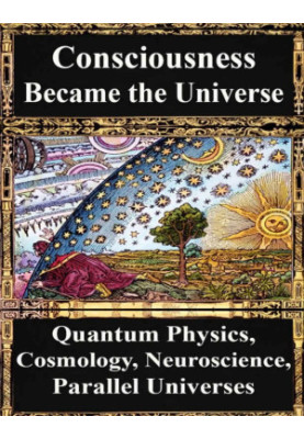 How Consciousness Became the Universe: Quantum Physics, Cosmology, Relativity, Evolution, Neuroscience, Parallel Universes
