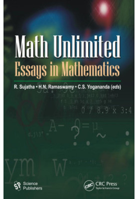 Math Unlimited: Essays in Mathematics