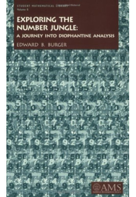 Exploring the number jungle: a journey into Diophantine analysis