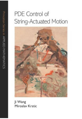 PDE Control of String-Actuated Motion