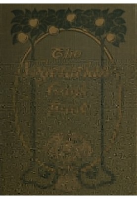 A mother novel following “The Colony”