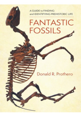 Fantastic Fossils: A Guide to Finding and Identifying Prehistoric Life