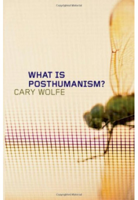 What is posthumanism?