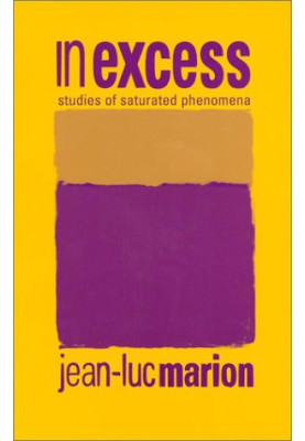 In Excess: Studies of Saturated Phenomena (Perspectives in Continental Philosophy)