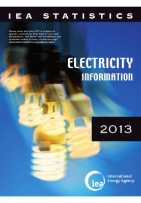 Electricity information 2013.