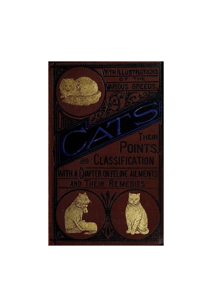 Cats: Their Points and Characteristics With Curiosities of Cat Life, and a Chapter on Feline Ailments