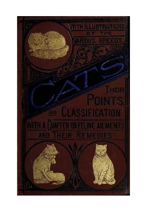 Cats: Their Points and Characteristics With Curiosities of Cat Life, and a Chapter on Feline Ailments