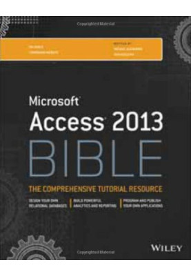 Access 2013 Bible