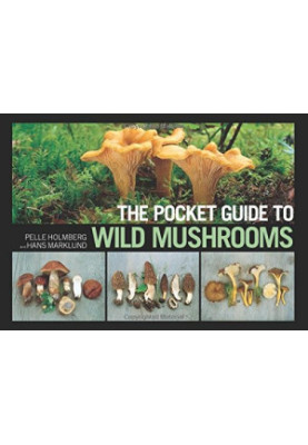 Mushrooming without Fear: The Beginner's Guide to Collecting Safe and Delicious Mushrooms