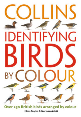 Identifying Birds by Colour