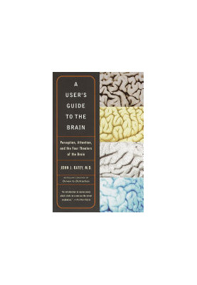 A User's Guide to the Brain: Perception, Attention, and the Four Theatres of the Brain