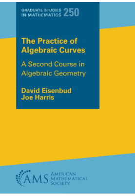 The Practice of Algebraic Curves: A Second Course in Algebraic Geometry