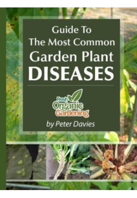 Guide to the Most Common Garden Plant Diseases