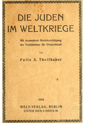 The Jews in the World War