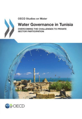 Water governance in Tunisia : overcoming the challenges to private sector participation.