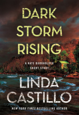 Kate Burkholder 15.5 - Dark Storm Rising