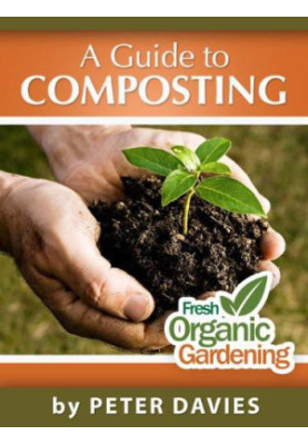 A Guide to Composting