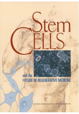 Stem Cells and the Future of Regenerative Medicine