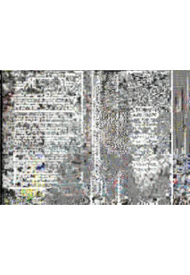 Technic and Magic: The Reconstruction of Reality