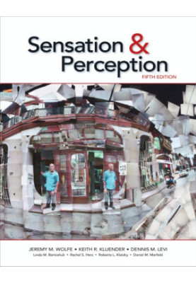 Sensation & perception