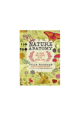 Nature anatomy : the curious parts & pieces of the natural world