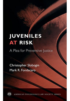 Juveniles at risk : a plea for preventive justice