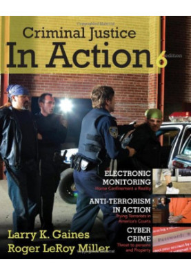 Criminal Justice in Action