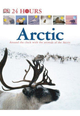 Arctic (DK 24 HOURS)