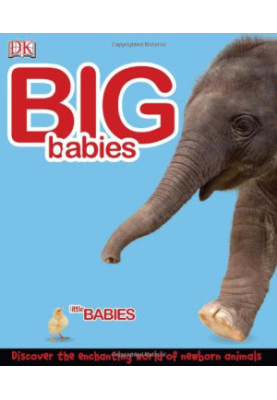 Big Babies, Little Babies