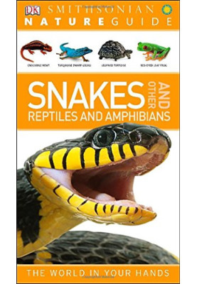Nature Guide: Snakes and Other Reptiles and Amphibians