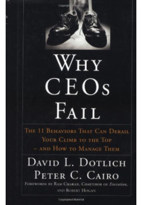 Why CEO's Fail: The 11 Behaviors That Can Derail Your Climb to the Top and How to Manage Them