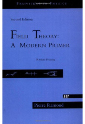 Field Theory : A Modern Primer