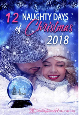 12 Naughty Days of Christmas : 2018