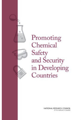 Promoting Chemical Laboratory Safety and Security in Developing Countries