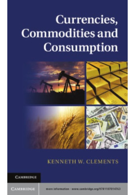 Currencies, commodities and consumption: measurement and the world economy