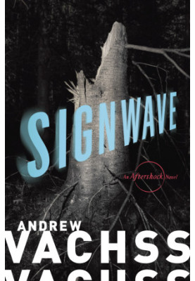 SignWave: An Aftershock Novel