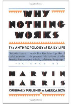 Why nothing works : the anthropology of daily life updated with a new preface