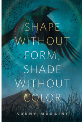 Shape Without Form, Shade Without Color