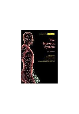 The Nervous System (Your Body How It Works).