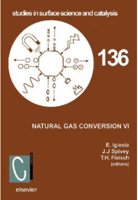 Natural Gas Conversion