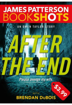 After the End (Owen Taylor 2)