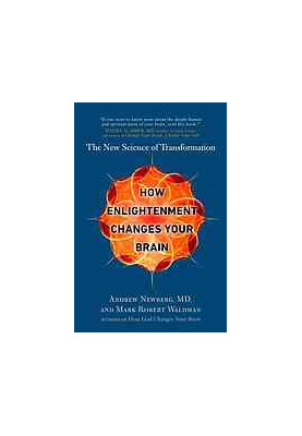 HOW ENLIGHTENMENT CHANGES YOUR BRAIN : the new science of transformation